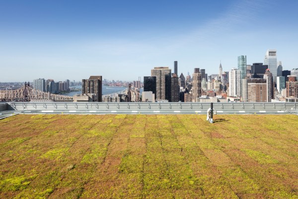 Request Medical Records Mercy Health Request Medical Records Mercy Health