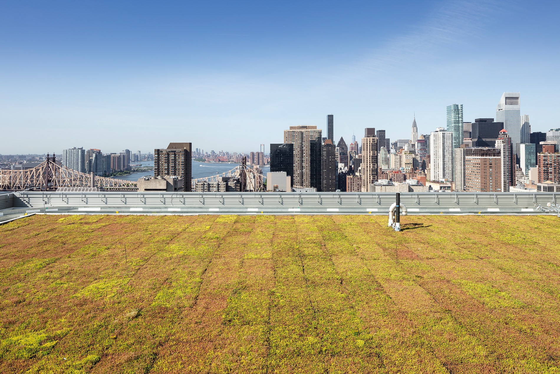 NewYork Pres Green Roof 1900