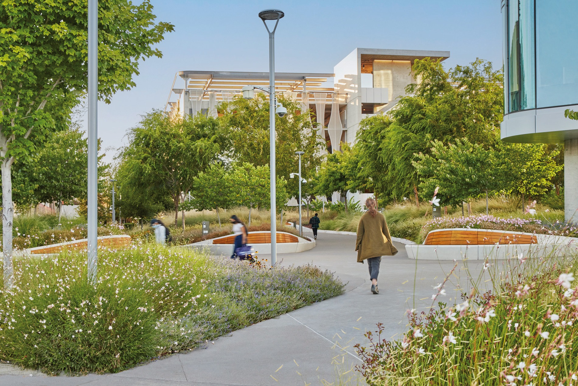 Greenery, landscaping, and warm wooden seating at the Workday campus in Pleasonton, California, designed by HOK.