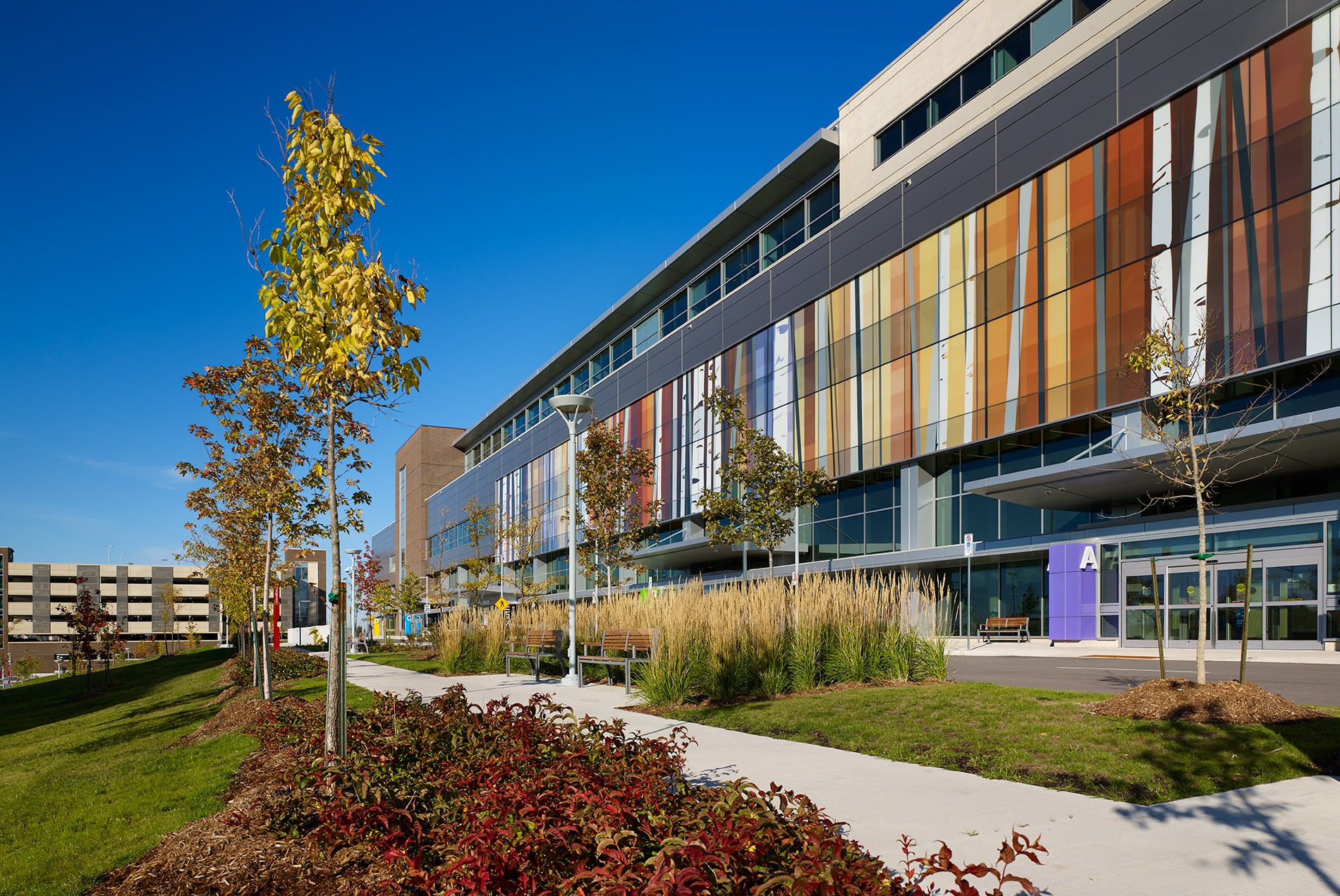 Humber River Hospital HOK