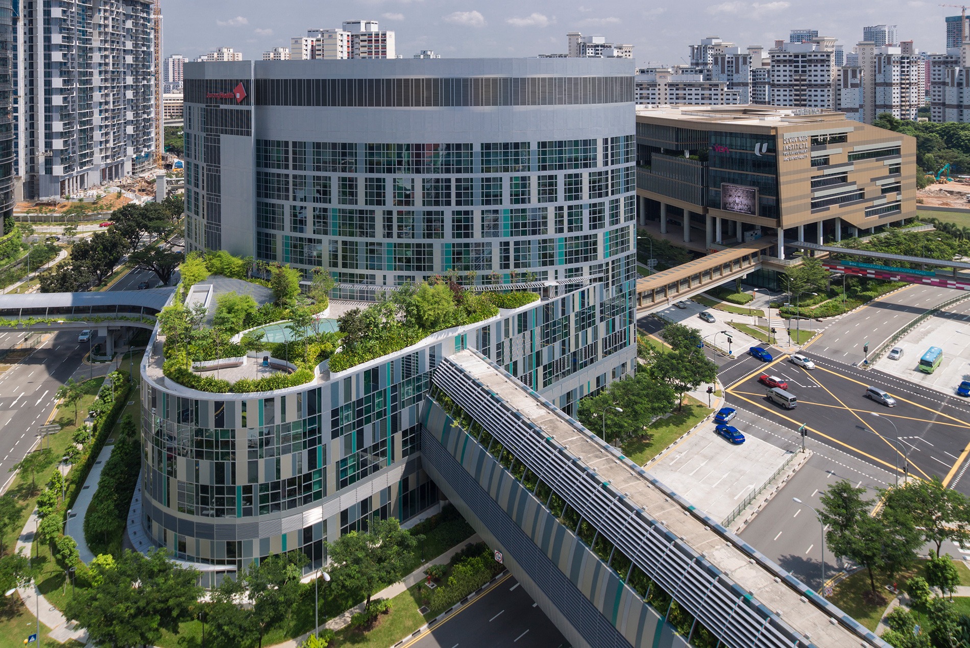 Ng Teng Fong Hospital Bridge and Green Roof 1900