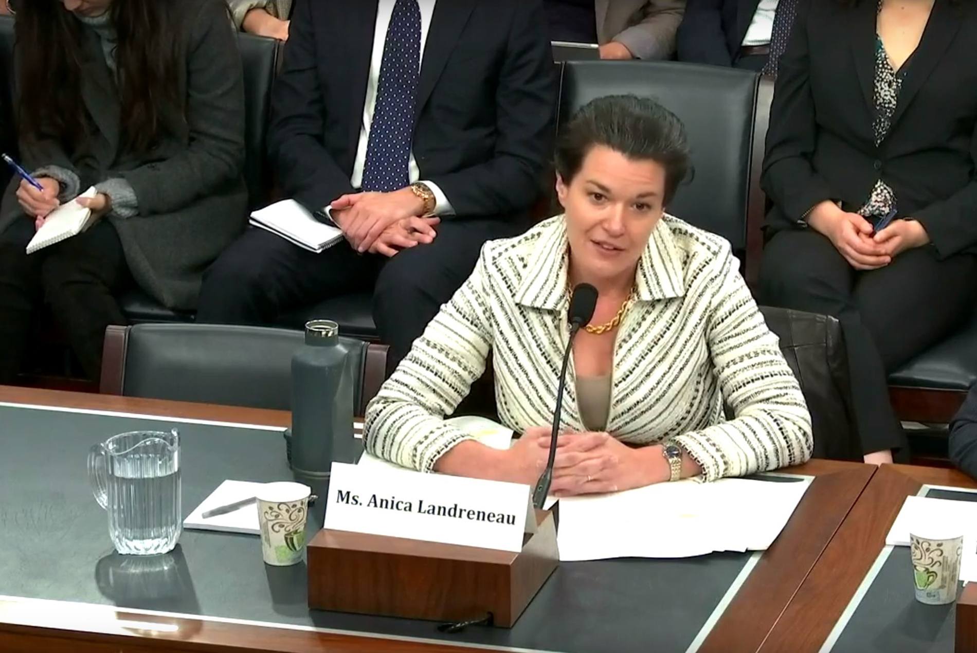 HOK’s Anica Landreneau Provides Expert Testimony to House Select