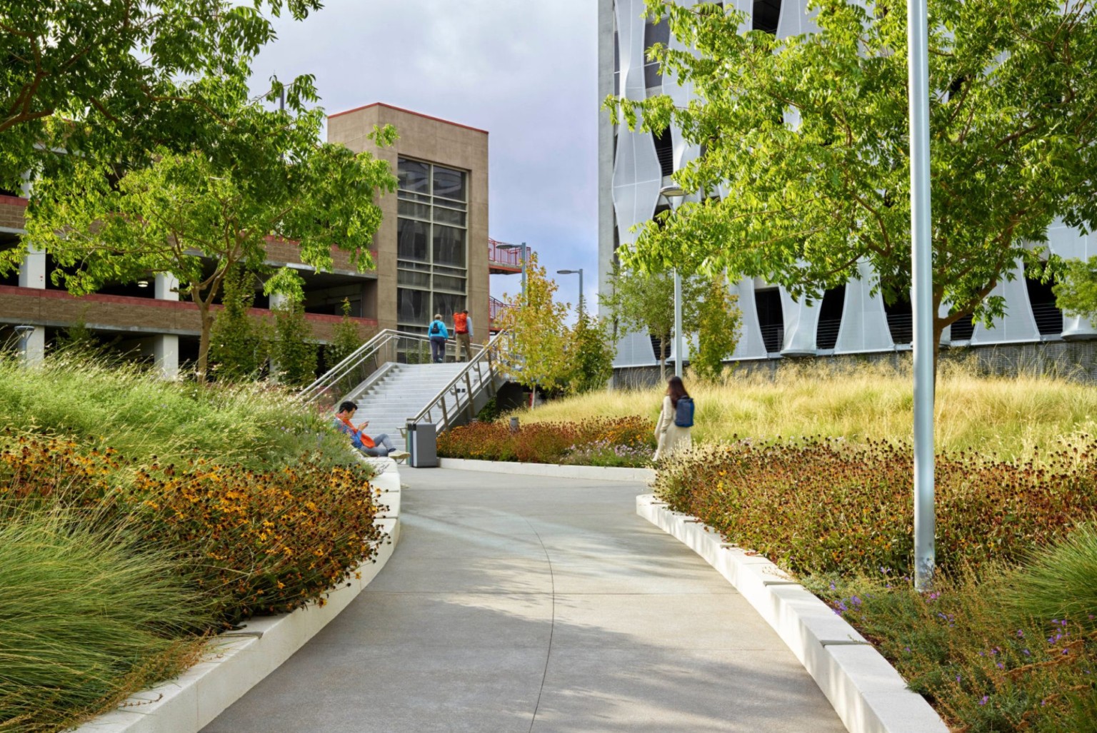 Workday Campus and Innovation Plaza HOK