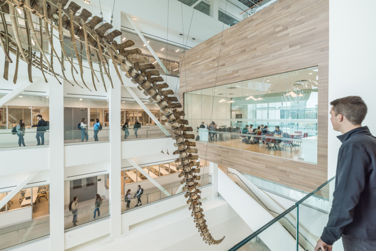 Memorial University of Newfoundland Core Science Facility HOK