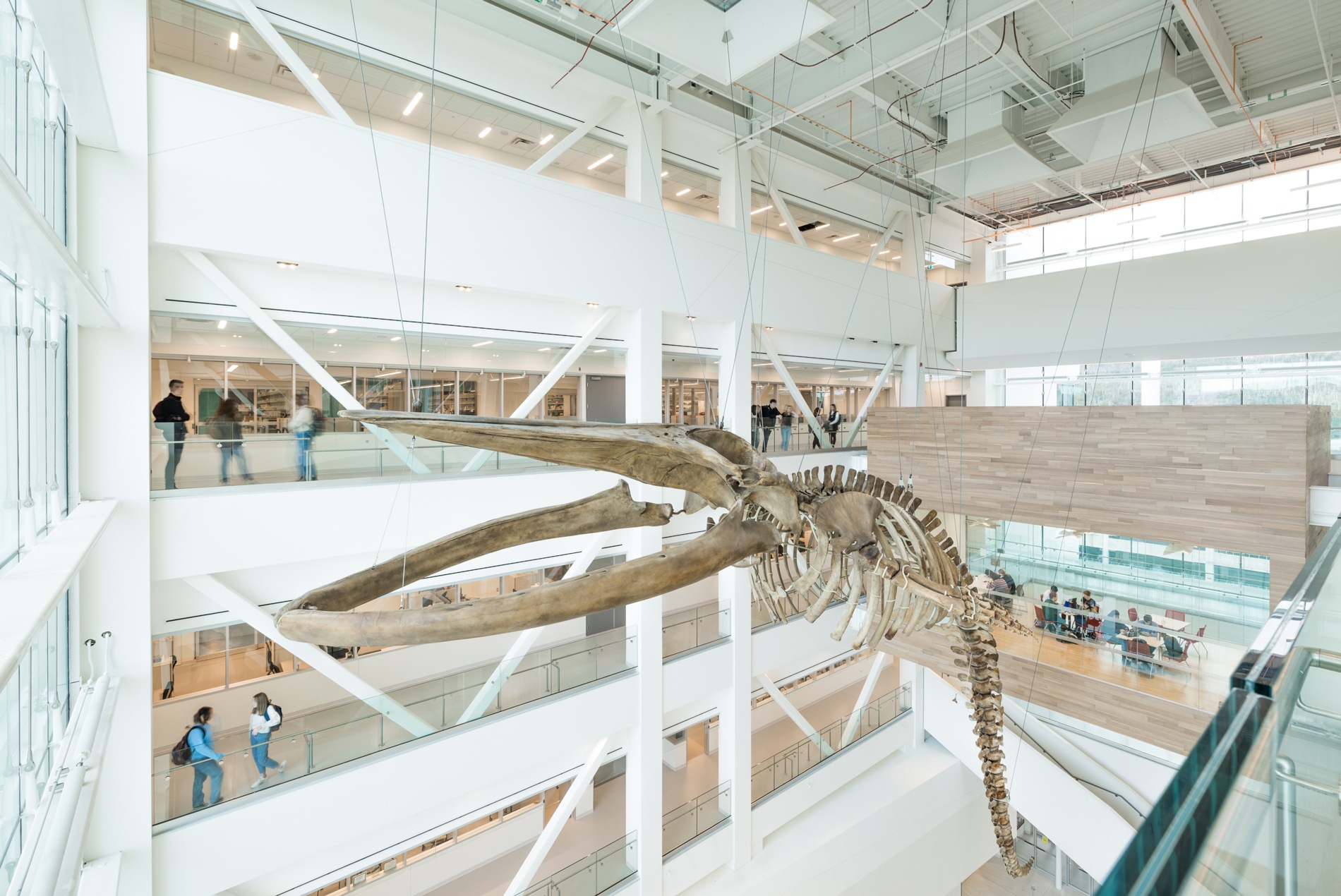 Memorial University of Newfoundland Core Science Facility - HOK