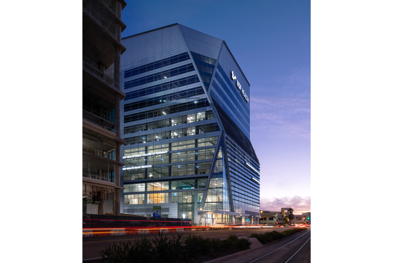 University Of South Florida Health Morsani College Of Medicine And