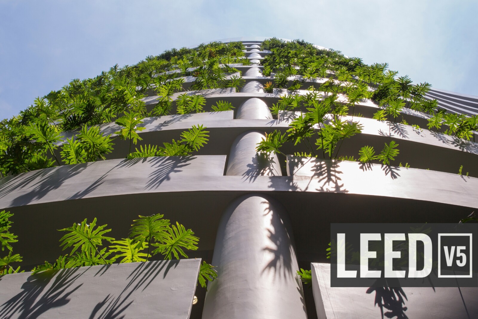 An Inside Look at LEED v5 from One of Its Key Architects - HOK