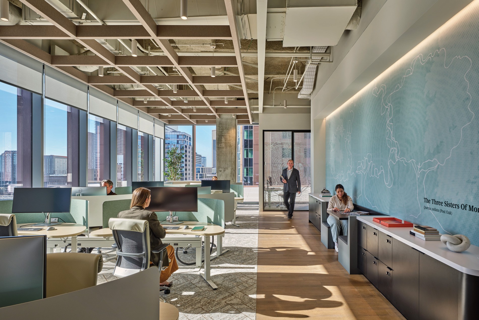 workstations and graphic wallcoverings for a confidential Houston office designed by HOK