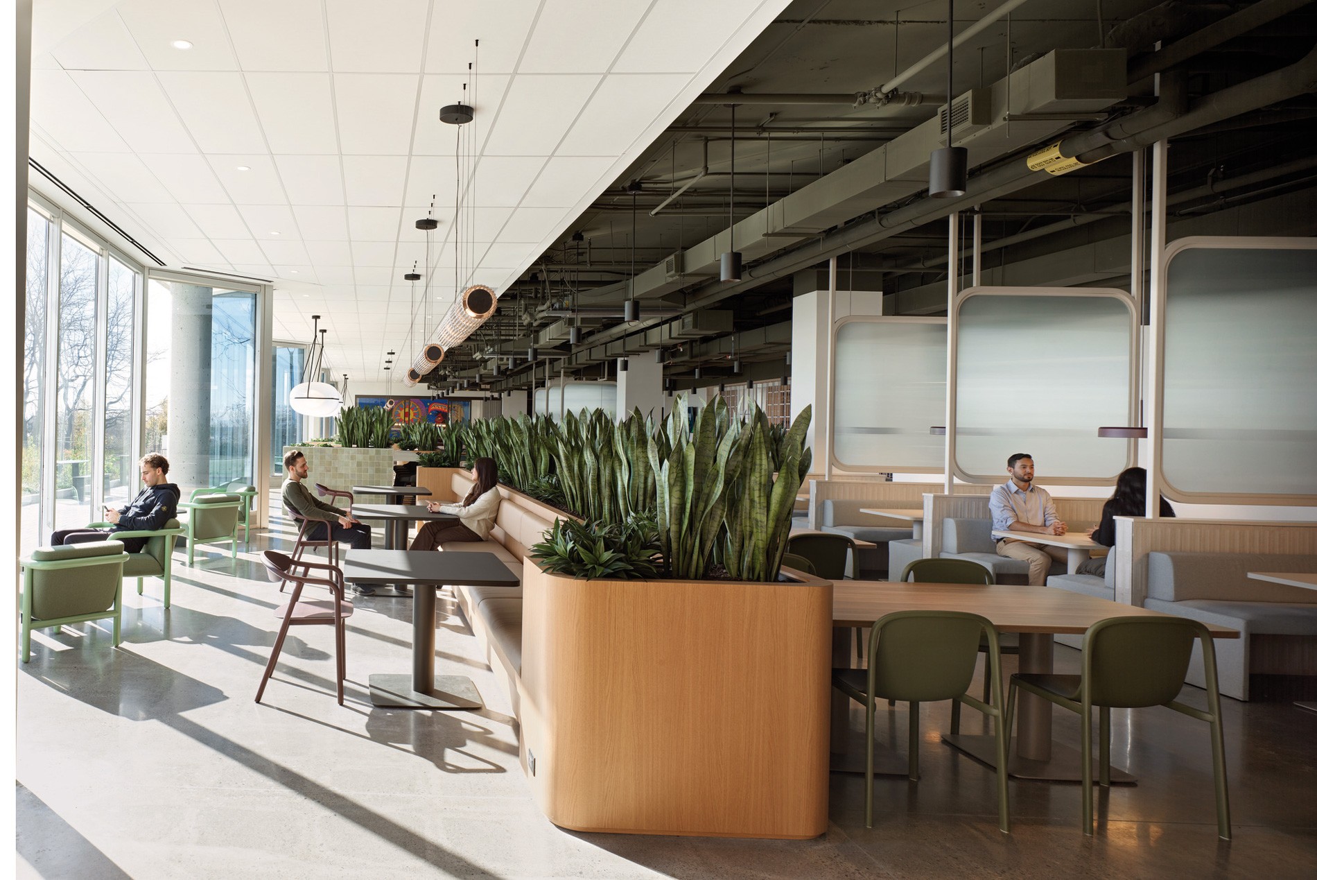 Cafe, plantings and lounge seating at the HOK-designed Ontario Power Generation headquarters